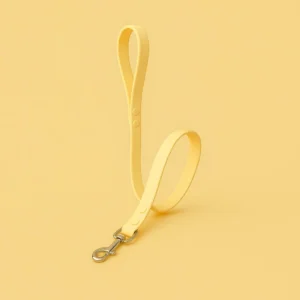 laisse jaune pour chien chic et confortable - modèles élégant waterproof ou fun signés woofty
