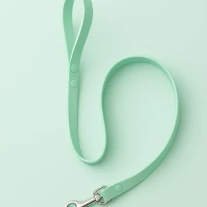 laisse vert tendre pour chien chic et confortable - modèles élégant waterproof ou fun signés woofty