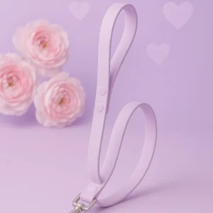 laisse violette lilas pour chien chic et confortable - modèles élégant waterproof ou fun signés woofty