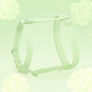 harnais pour chien en biothane pastel vert waterproof