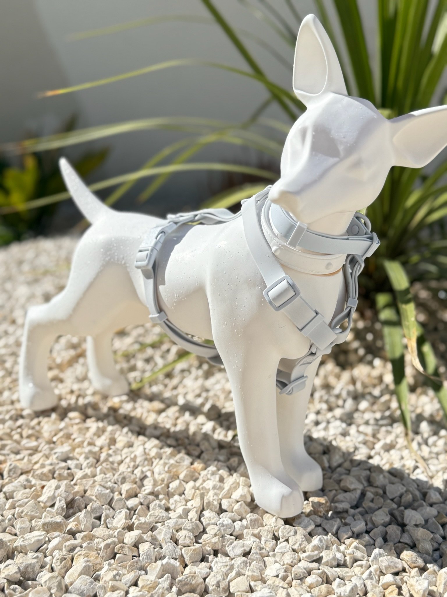 collier harnais chien jaune pastel woofty reel waterproof (6)