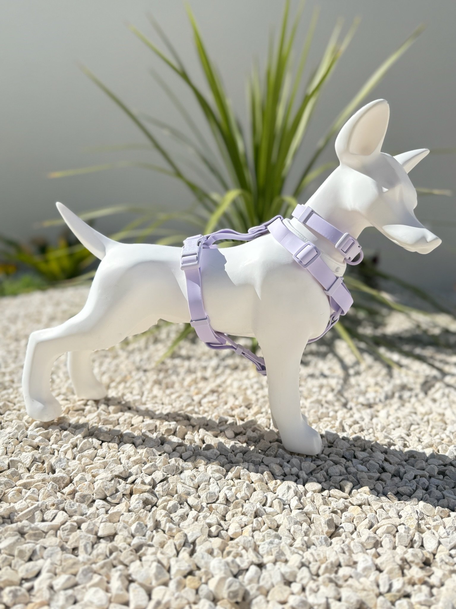 collier harnais chien lilas pastel woofty reel waterproof