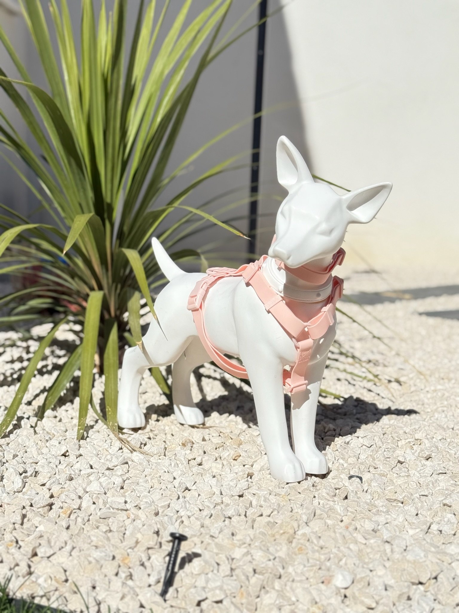 collier harnais chien rose pastel woofty reel waterproof