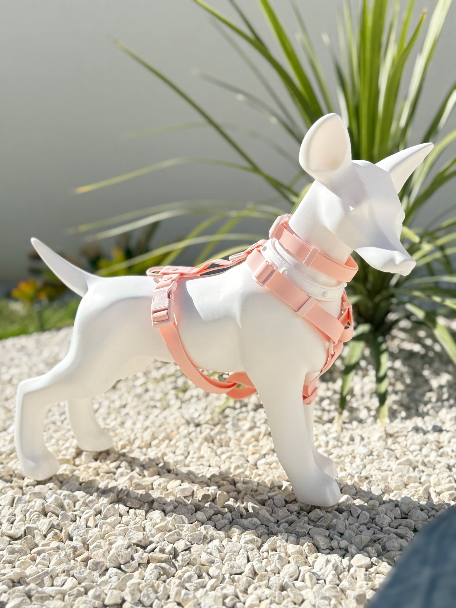 collier harnais chien saumon pastel woofty reel waterproof