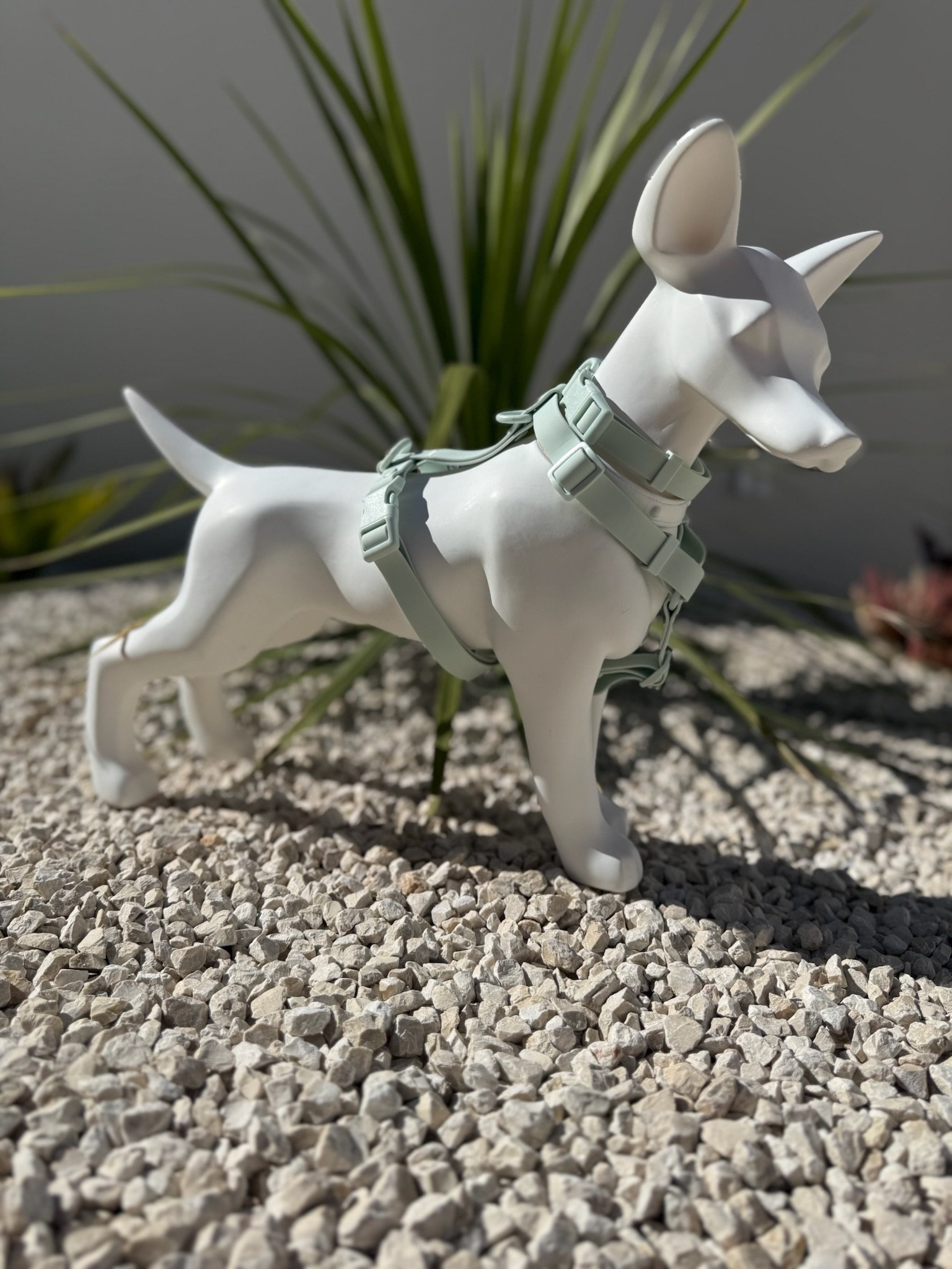 collier harnais chien vert pastel woofty reel waterproof