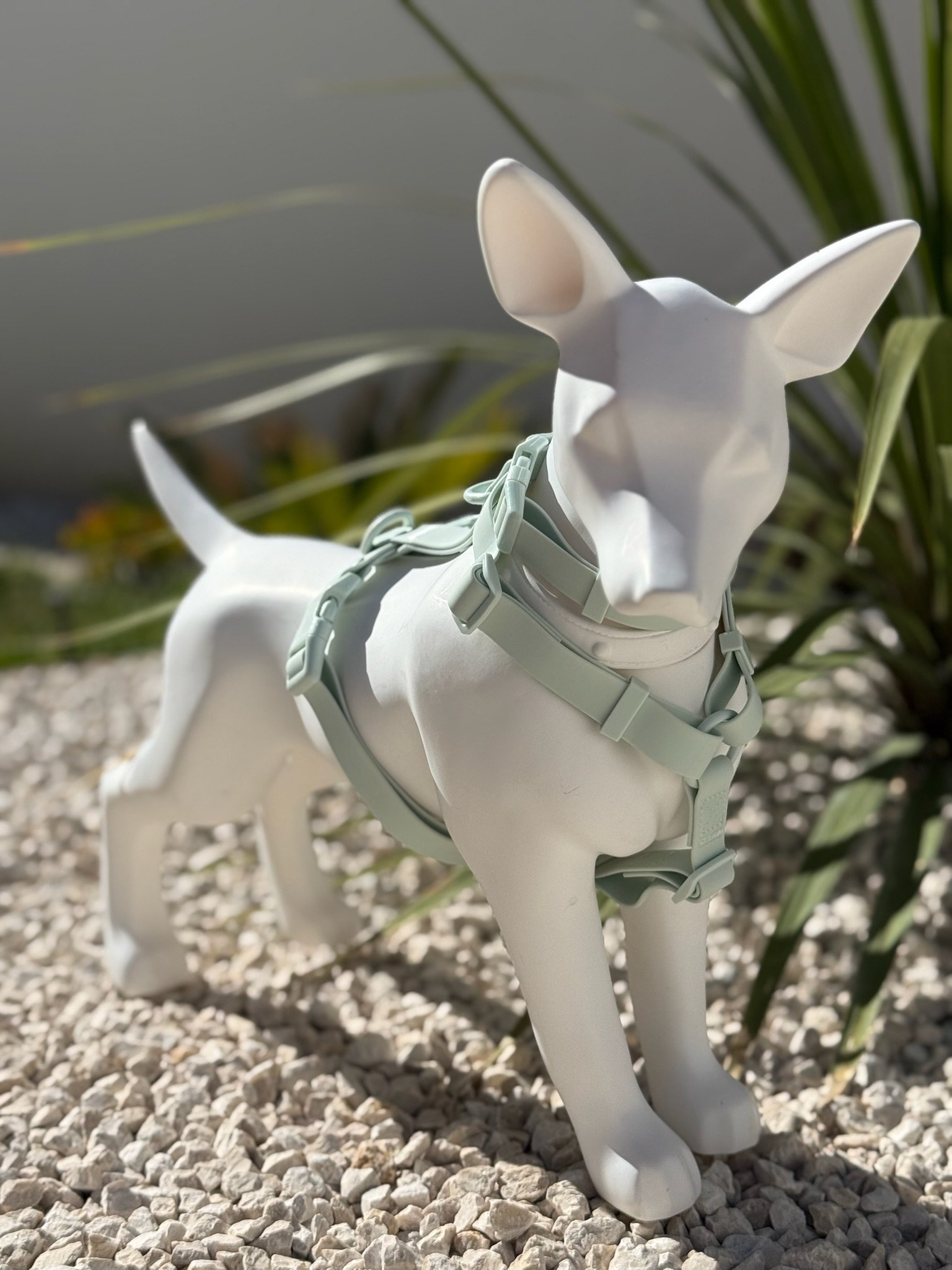 collier harnais chien vert tendre pastel woofty reel waterproof