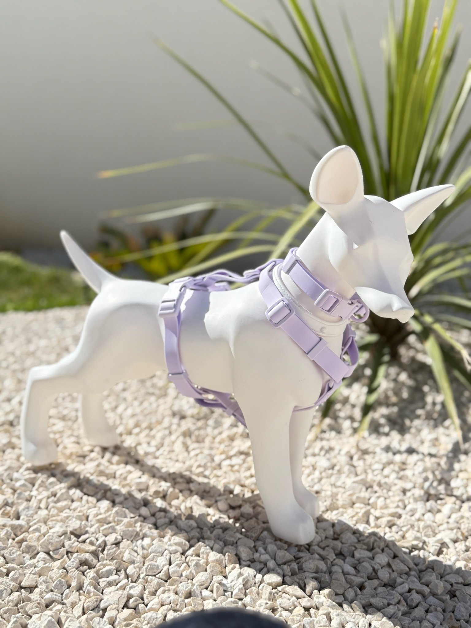 collier harnais chien violet pastel woofty reel waterproof