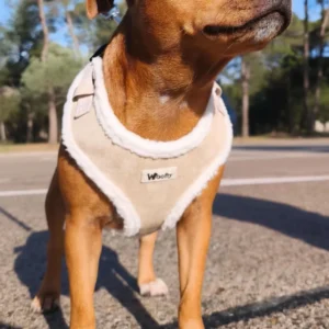 harnais daim sable cozy