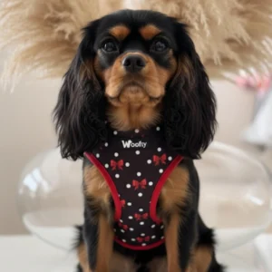 harnais pois & nœuds rouge