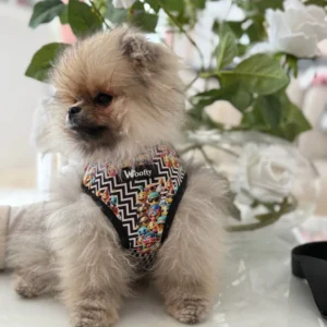 woofty harnais smiley chic