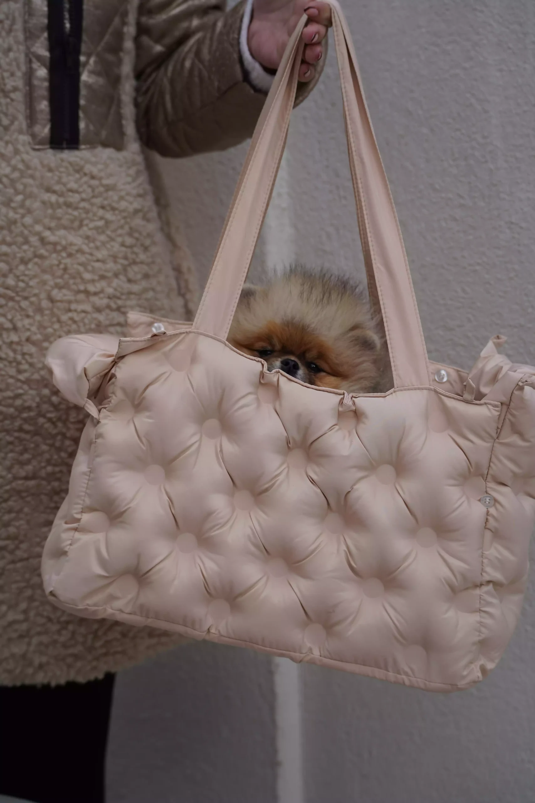 sac de transport woofty chien elegant chic beige (2)