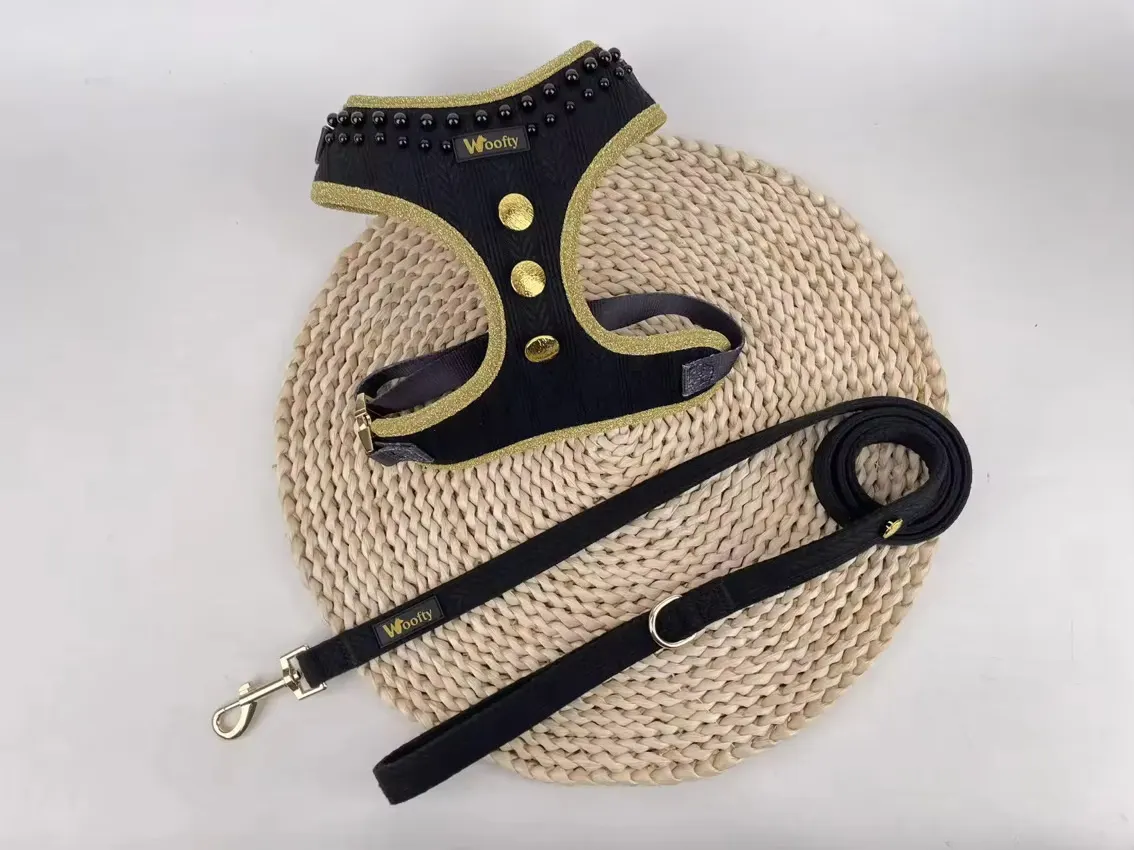 laisse noire subtilement doré