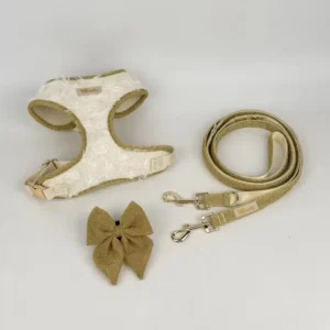 harnais noir & or (copie)