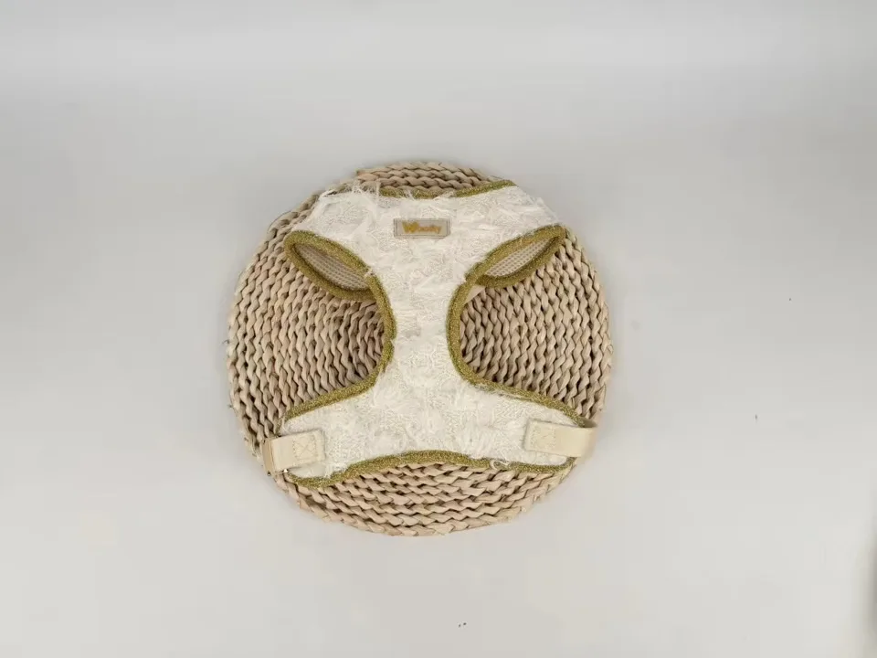 harnais noir & or (copie)